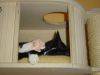 Katze schl�ft in Holzbox