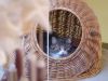 Katze schaut gespannt aus Korb heraus