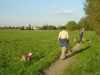 Mitarbeiter gehen Gassi mit Hunden im Feld